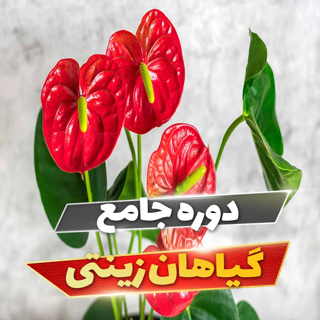 course-img