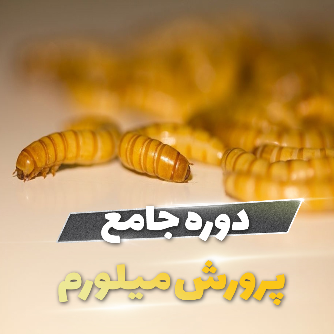 course-img