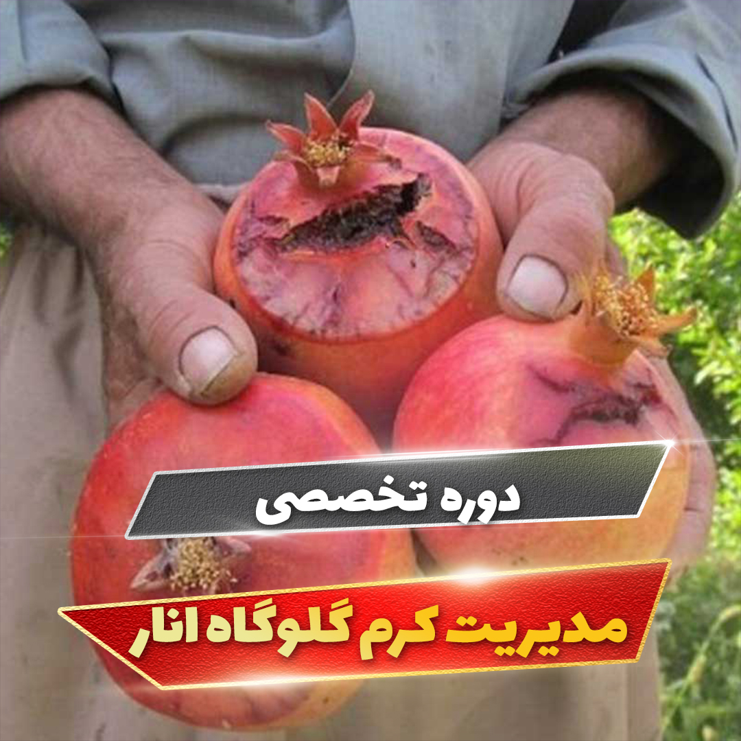 course-img